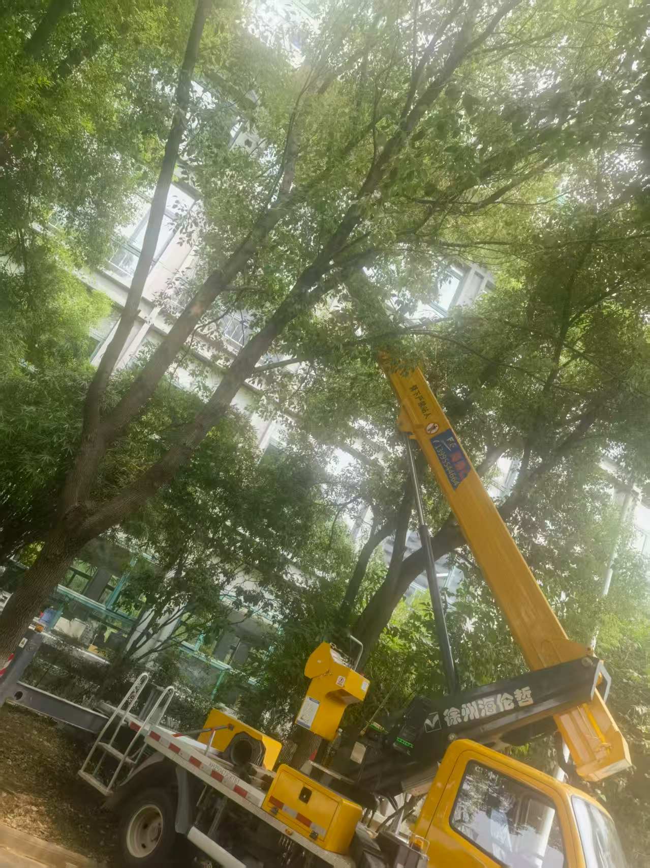 18米直臂升降車(chē)載人修剪樹(shù)枝、園林施工現(xiàn)場(chǎng)